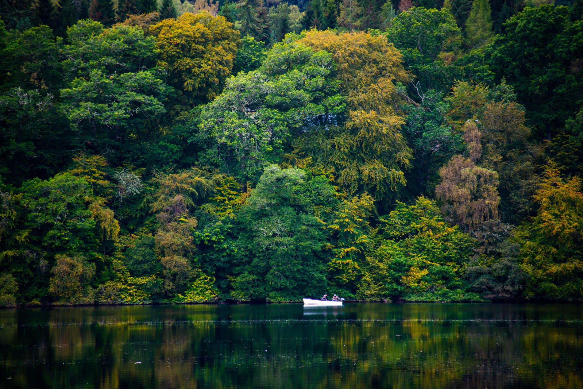 Trout fishing on Dunalastair Loch and pike fishing on the River Tummel ...